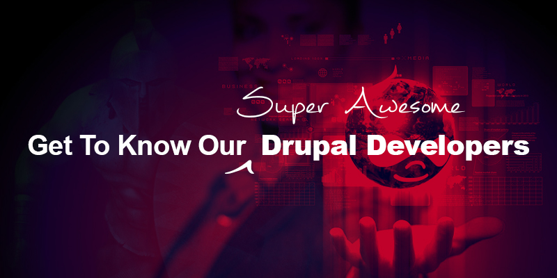 Awesome Drupal Developers