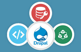 Drupal Development