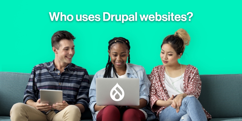 Drupal Website Users: Who Are They? A Brief Analysis